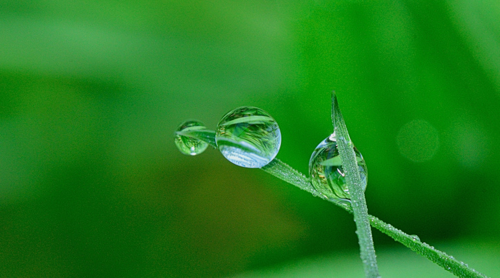 Environment