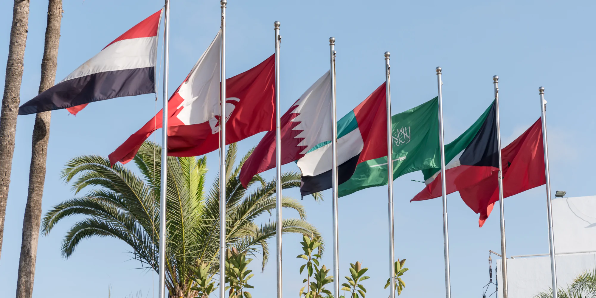 Arab Countries Flags